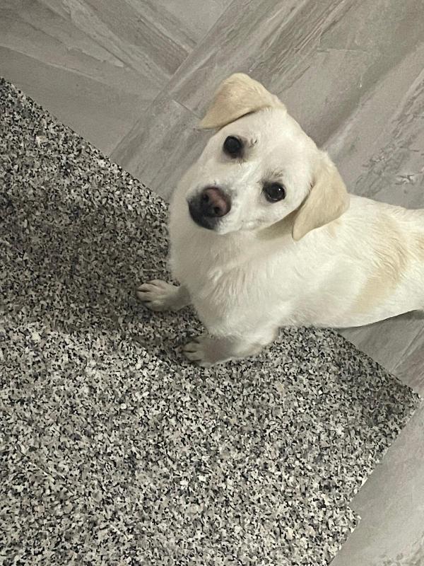 Leo 💤 Dal Divano Al Box 💔